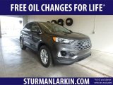 2019 Magnetic Ford Edge SEL AWD #132342162