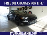 2019 Shadow Black Ford Mustang GT Premium Convertible #132342160
