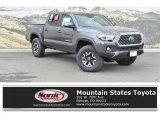 2019 Magnetic Gray Metallic Toyota Tacoma TRD Off-Road Double Cab 4x4 #132438969