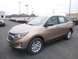 2019 Sandy Ridge Metallic Chevrolet Equinox LS #132453553