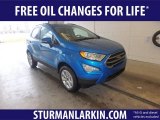 2019 Blue Candy Metallic Ford EcoSport SE 4WD #132493522