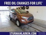 2019 Canyon Ridge Metallic Ford EcoSport SE 4WD #132522000