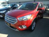 2019 Ford Escape SE 4WD