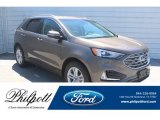 2019 Stone Gray Ford Edge SEL #132552146