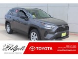2019 Magnetic Gray Metallic Toyota RAV4 LE #132581344