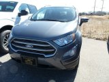 2019 Smoke Metallic Ford EcoSport SE 4WD #132581479