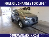 2019 Smoke Metallic Ford EcoSport SE #132634380