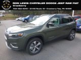2019 Olive Green Pearl Jeep Cherokee Limited 4x4 #132637532