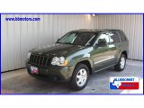 2008 Jeep Green Metallic Jeep Grand Cherokee Laredo #13242068