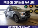 2019 Abyss Gray Ford F150 STX SuperCrew 4x4 #132725306