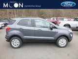 2019 Smoke Metallic Ford EcoSport SE 4WD #132757727