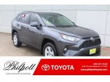 2019 Magnetic Gray Metallic Toyota RAV4 XLE #132757749