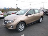 2019 Sandy Ridge Metallic Chevrolet Equinox LS #132816161