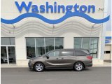 2019 Pacific Pewter Metallic Honda Odyssey EX-L #132836885