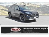 2019 Toyota RAV4 Adventure AWD