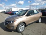 2019 Sandy Ridge Metallic Chevrolet Equinox LS #132876670