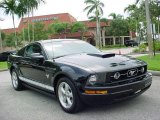 2009 Black Ford Mustang V6 Premium Coupe #13228943