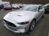 Ingot Silver Ford Mustang in 2019