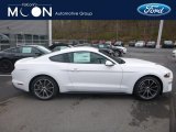 2019 Oxford White Ford Mustang EcoBoost Fastback #132876715