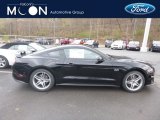 2019 Shadow Black Ford Mustang GT Fastback #132876714