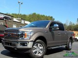 Stone Gray Ford F150 in 2019