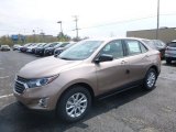 2019 Sandy Ridge Metallic Chevrolet Equinox LS #132937335