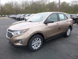 2019 Sandy Ridge Metallic Chevrolet Equinox LS #132962542