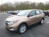 2019 Sandy Ridge Metallic Chevrolet Equinox LS #132962541