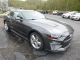 2019 Ford Mustang EcoBoost Premium Fastback Front 3/4 View