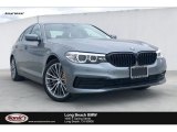 2019 Bluestone Metallic BMW 5 Series 530i Sedan #133108299