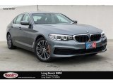 2019 Bluestone Metallic BMW 5 Series 530i Sedan #133146576