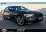 2019 Jet Black BMW 5 Series 530i Sedan #133166473