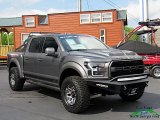 2019 Ford F150 Shelby BAJA Raptor SuperCrew 4x4 Front 3/4 View