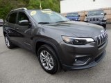 Granite Crystal Metallic Jeep Cherokee in 2019