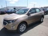 2019 Sandy Ridge Metallic Chevrolet Equinox LS #133225785