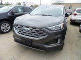 2019 Magnetic Ford Edge SEL #133247814