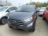 2019 Smoke Metallic Ford EcoSport SE 4WD #133247806