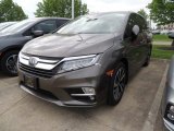 2019 Pacific Pewter Metallic Honda Odyssey Elite #133247852