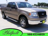 2006 Arizona Beige Metallic Ford F150 XLT SuperCrew #13309772