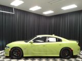 2019 Sublime Metallic Dodge Charger R/T Scat Pack #133342746