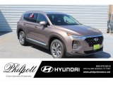 2019 Earthy Bronze Hyundai Santa Fe SEL Plus #133357793
