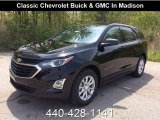 2019 Mosaic Black Metallic Chevrolet Equinox LS #133399298