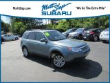 2012 Sage Green Metallic Subaru Forester 2.5 X Premium #133399251