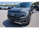 2019 Magnetic Metallic Ford Expedition Limited Max 4x4 #133439305