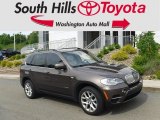 2013 Sparkling Bronze Metallic BMW X5 xDrive 35i Sport Activity #133483671