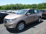 2019 Sandy Ridge Metallic Chevrolet Equinox LS #133658556