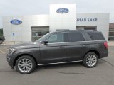 2019 Magnetic Metallic Ford Expedition Limited 4x4 #133694121