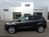 2019 Magnetic Ford Escape SEL 4WD #133694118