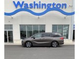 2019 Pacific Pewter Metallic Honda Odyssey Elite #133693919