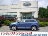 2010 Sport Blue Metallic Ford Edge Sport AWD #13356542